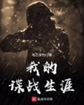 我的谍战生涯